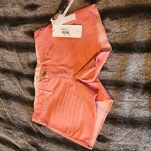 Carve Designs Dogtown Short Sunkiss